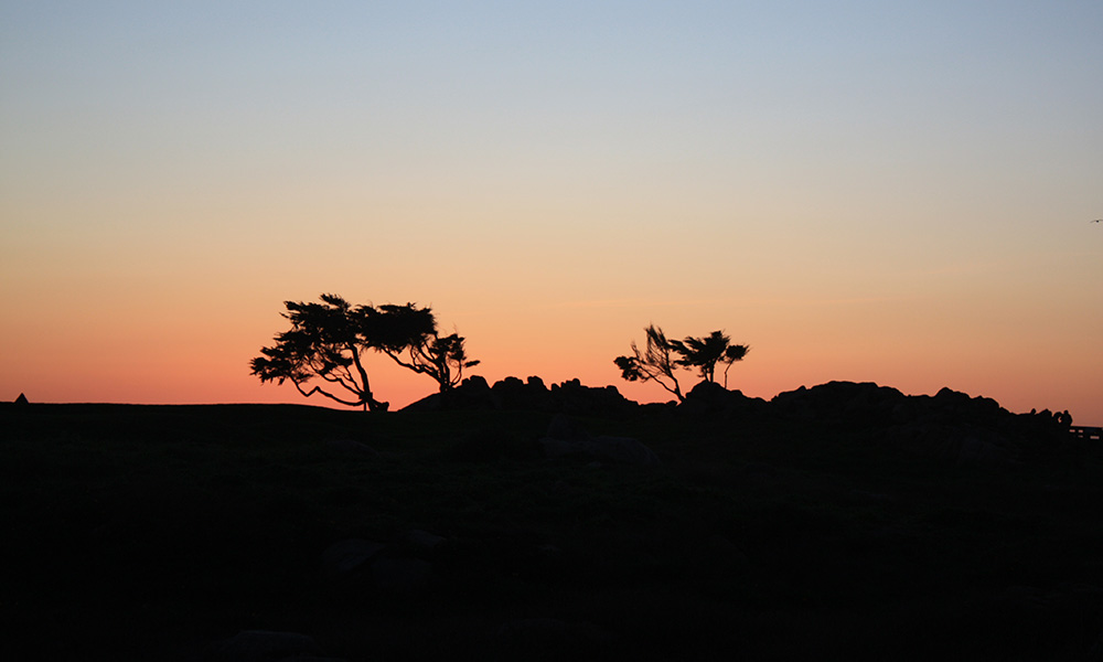 Sunset in California