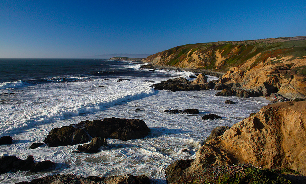 Point Reyes Costal