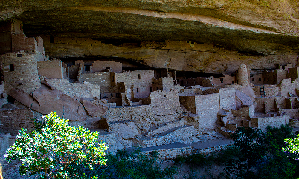  Mesa Verde