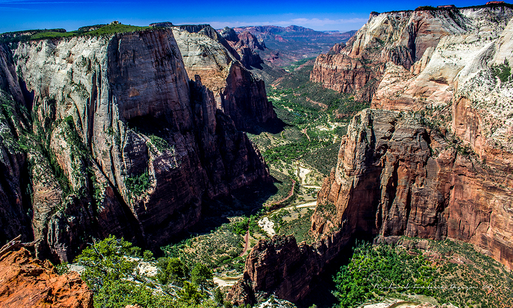 Observation Point