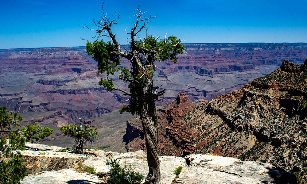 Grand Canyon