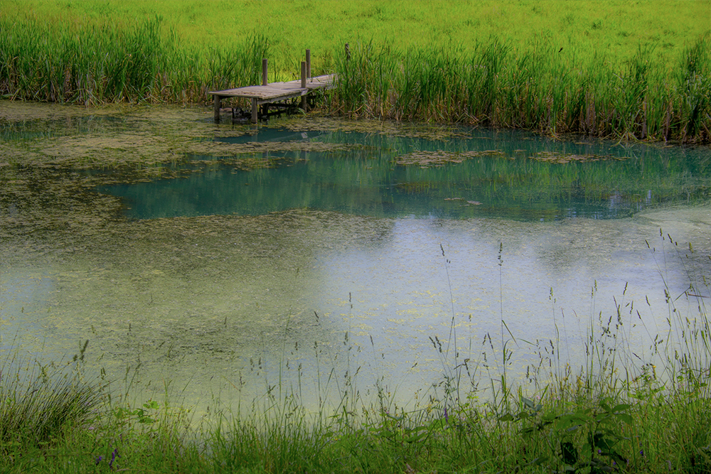 Green Pond